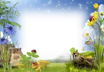 Photo effect from category Summer № 97486 Photo effect from category Summer № 97486