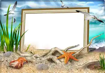 Photo effect from category Summer № 97613 Photo effect from category Summer № 97613