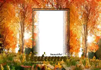 Photo effect from category Autumn № 125870 Photo effect from category Autumn № 125870