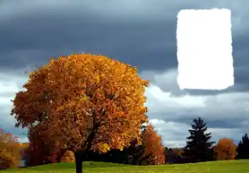 Photo effect from category Autumn № 125889 Photo effect from category Autumn № 125889