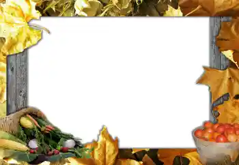 Photo effect from category Autumn № 127051 Photo effect from category Autumn № 127051