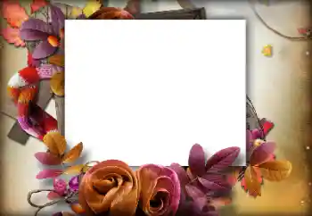 Photo effect from category Autumn № 142460 Photo effect from category Autumn № 142460