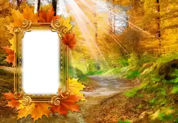 Photo effect from category Autumn № 142463 Photo effect from category Autumn № 142463