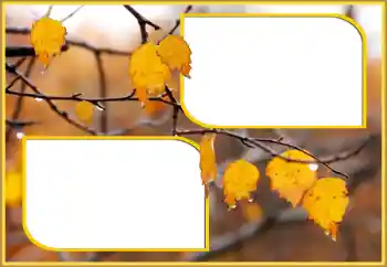 Photo effect from category Autumn № 145075 Photo effect from category Autumn № 145075