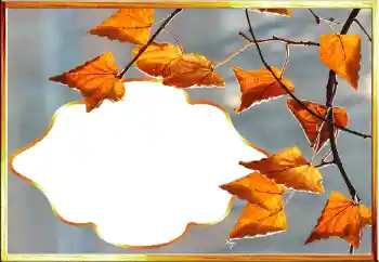 Photo effect from category Autumn № 145079 Photo effect from category Autumn № 145079