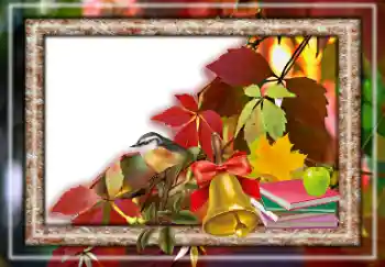 Photo effect from category Autumn № 157063