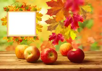 Photo effect from category Autumn № 157134