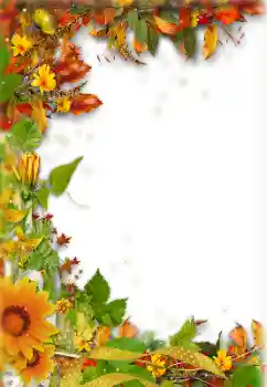 Photo effect from category Autumn № 157238