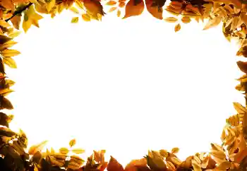 Photo effect from category Autumn № 158309