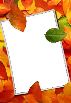 Photo effect from category Autumn № 159508