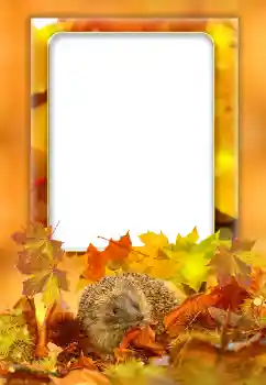 Photo effect from category Autumn № 168000 Photo effect from category Autumn № 168000