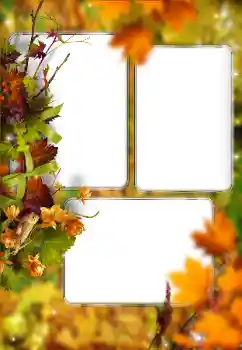 Photo effect from category Autumn № 176614 Photo effect from category Autumn № 176614