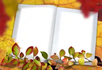 Photo effect from category Autumn № 182190 Photo effect from category Autumn № 182190