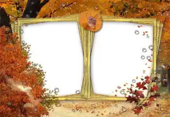 Photo effect from category Autumn № 191691