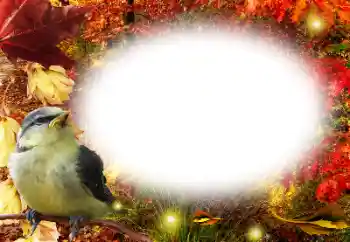 Photo effect from category Autumn № 191761