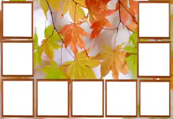 Photo effect from category Autumn № 195267