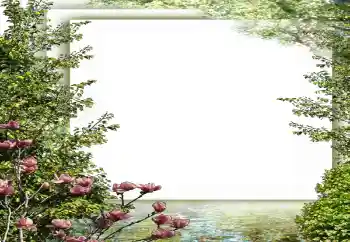 Photo effect from category Spring № 149187