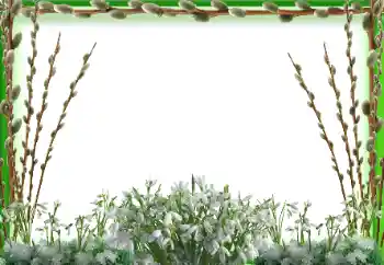 Photo effect from category Spring № 197647 Photo effect from category Spring № 197647