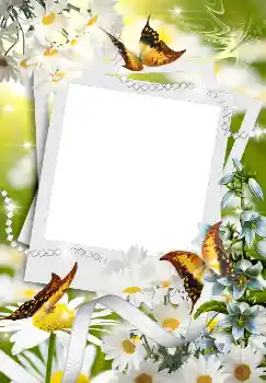 Photo effect from category Spring № 4611