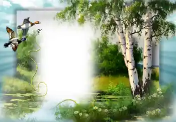 Photo effect from category Spring № 49552 Photo effect from category Spring № 49552