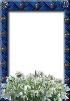 Photo effect from category Spring № 8734