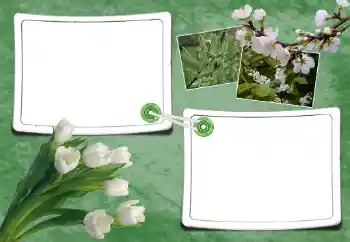 Photo effect from category Spring № 93095