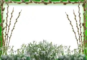 Photo effect from category Spring № 94595