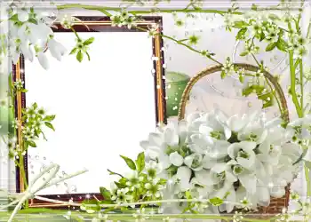 Photo effect from category Spring № 980