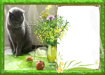 Photo effect from category Spring № 982