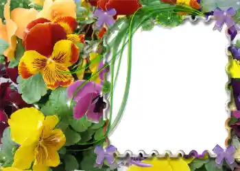 Photo effect from category Spring № 983