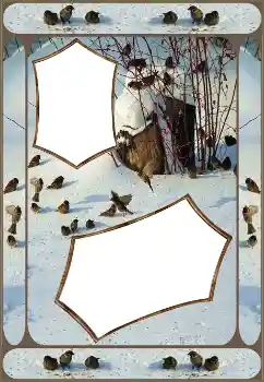 Photo effect from category Winter № 151645