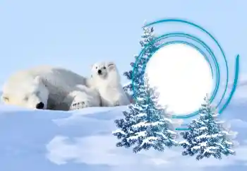 Photo effect from category Winter № 163218