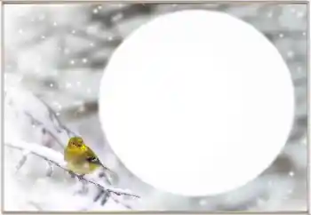 Photo effect from category Winter № 163334