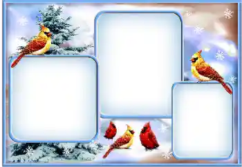 Photo effect from category Winter № 163360