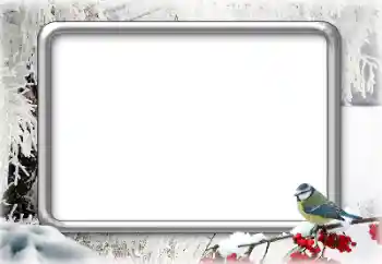 Photo effect from category Winter № 179644