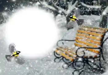 Photo effect from category Winter № 191760