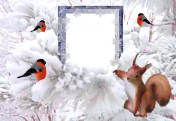 Photo effect from category Winter № 194148