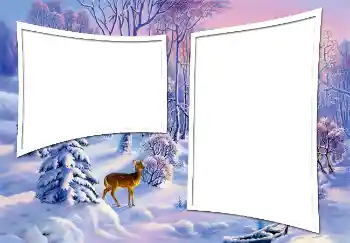 Photo effect from category Winter № 3363