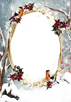 Photo effect from category Winter № 3374