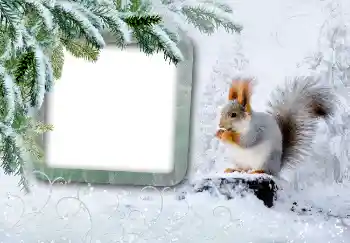 Photo effect from category Winter № 3375
