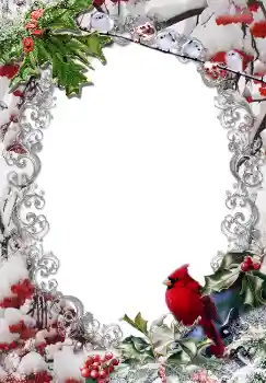Photo effect from category Winter № 3380