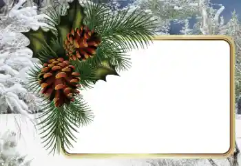 Photo effect from category Winter № 34794 Photo effect from category Winter № 34794