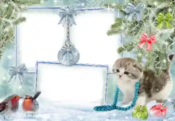 Photo effect from category Winter № 38960 Photo effect from category Winter № 38960