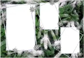 Photo effect from category Winter № 64393