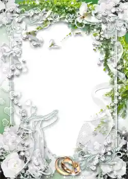 Photo effect from category Wedding frames № 1045