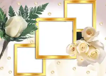 Photo effect from category Wedding frames № 104