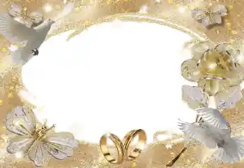 Photo effect from category Wedding frames № 105361