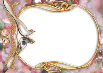 Photo effect from category Wedding frames № 105