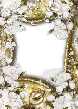 Photo effect from category Wedding frames № 1066