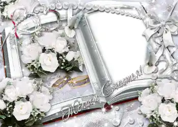 Photo effect from category Wedding frames № 1078